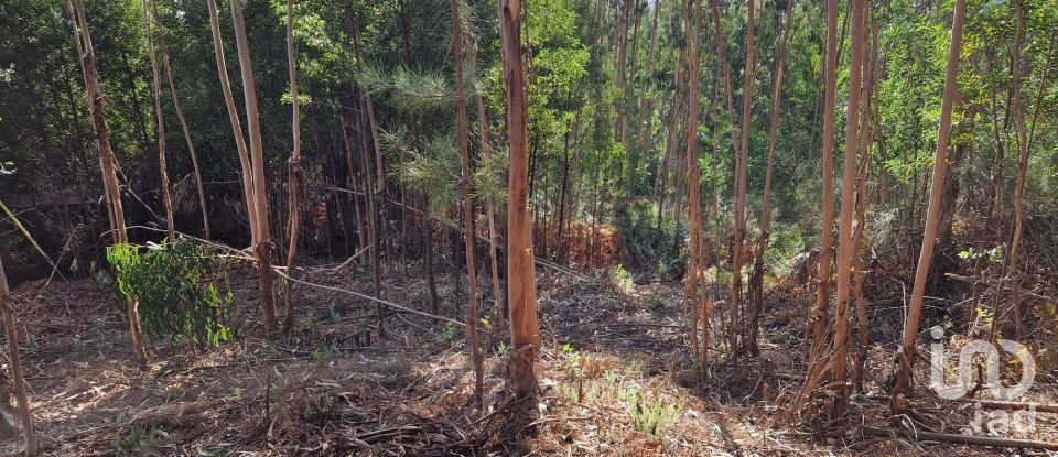 Building plot in Nogueira, Meixedo e Vilar de Murteda of 2,912 m²