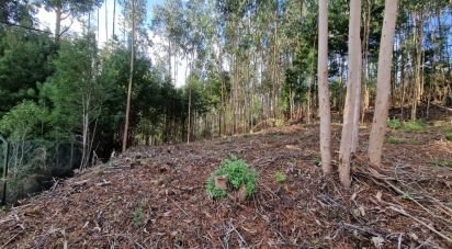 Building plot in Nogueira, Meixedo e Vilar de Murteda of 2,912 m²