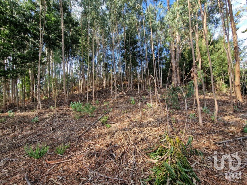 Building plot in Nogueira, Meixedo e Vilar de Murteda of 2,912 m²