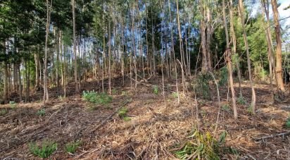 Building plot in Nogueira, Meixedo e Vilar de Murteda of 2,912 m²