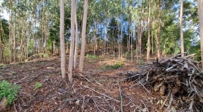 Building plot in Nogueira, Meixedo e Vilar de Murteda of 2,912 m²