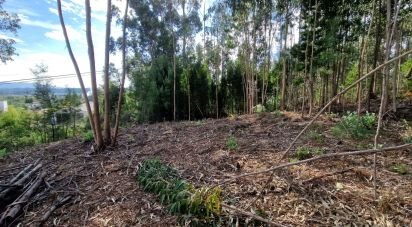 Building plot in Nogueira, Meixedo e Vilar de Murteda of 2,912 m²