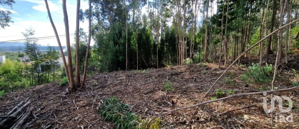 Building plot in Nogueira, Meixedo e Vilar de Murteda of 2,912 m²