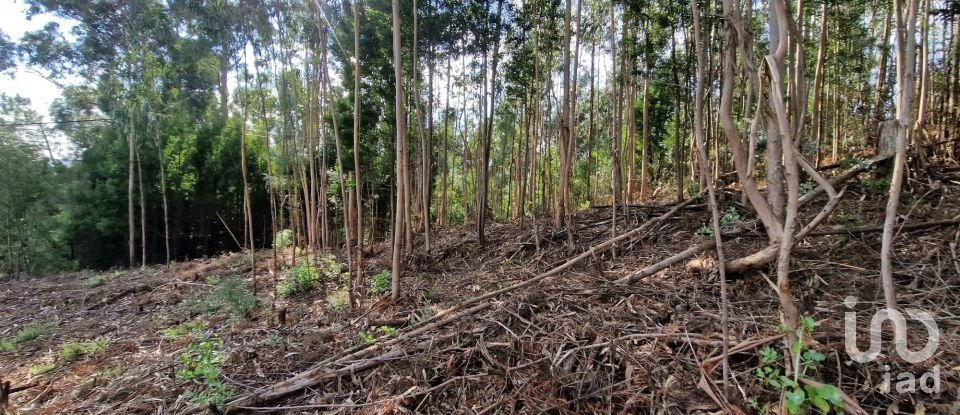 Building plot in Nogueira, Meixedo e Vilar de Murteda of 2,912 m²