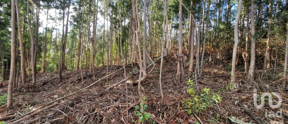 Building plot in Nogueira, Meixedo e Vilar de Murteda of 2,912 m²