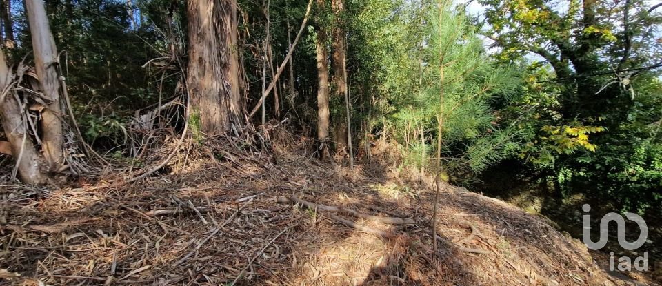 Building plot in Nogueira, Meixedo e Vilar de Murteda of 2,912 m²