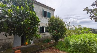 Maison rustique T3 à Nelas de 6 500 m²