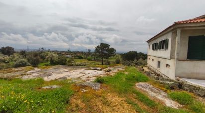 Maison rustique T3 à Nelas de 6 500 m²