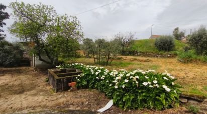 Maison rustique T3 à Nelas de 6 500 m²