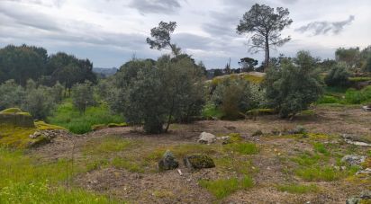 Maison rustique T3 à Nelas de 6 500 m²