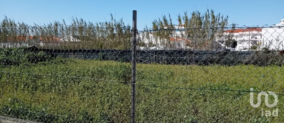 Moradia T3 em Atouguia da Baleia de 128 m²