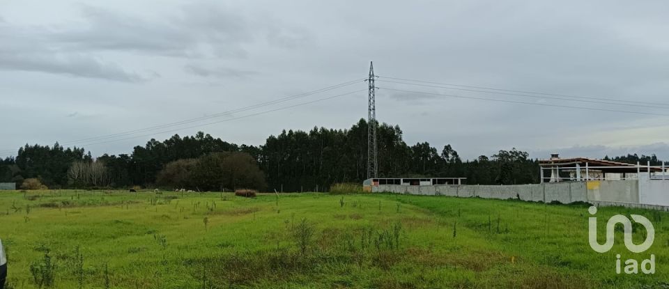 Terreno urbano em Ponte de Vagos e Santa Catarina de 3 160 m²