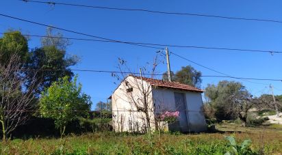 Terrain à Alcobaça e Vestiaria de 17 749 m²