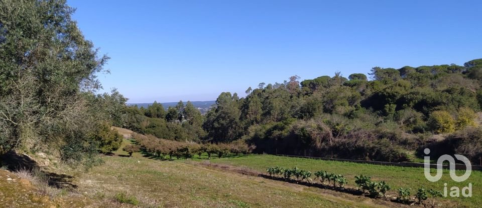 Terrain à Alcobaça e Vestiaria de 17 749 m²