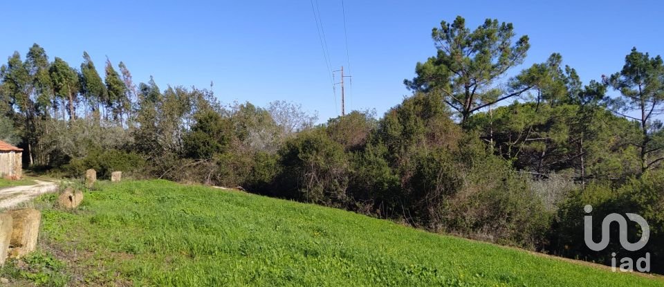 Terrain à Alcobaça e Vestiaria de 17 749 m²