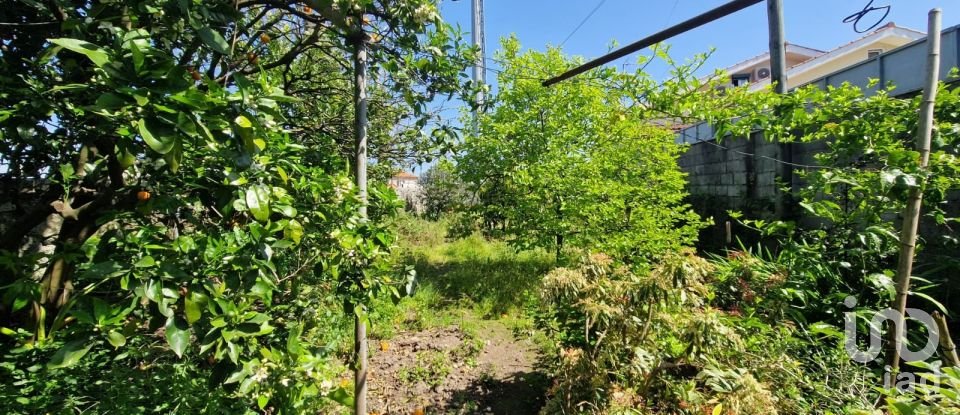 Moradia T2 em Santa Marta de Portuzelo de 120 m²