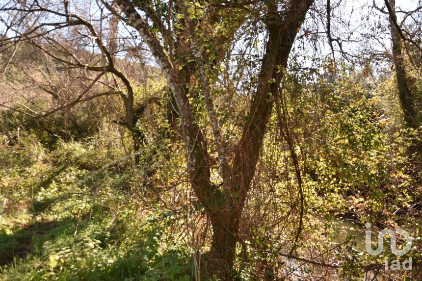 Terrain à Freixianda, Ribeira do Fárrio e Formigais de 5 100 m²