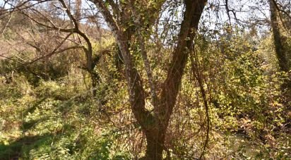 Terrain à Freixianda, Ribeira do Fárrio e Formigais de 5 100 m²