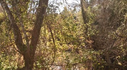 Terrain à Freixianda, Ribeira do Fárrio e Formigais de 5 100 m²