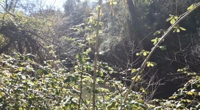 Terrain à Freixianda, Ribeira do Fárrio e Formigais de 5 100 m²