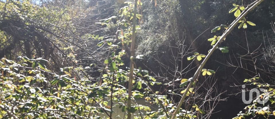 Terrain à Freixianda, Ribeira do Fárrio e Formigais de 5 100 m²