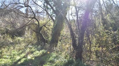 Terrain à Freixianda, Ribeira do Fárrio e Formigais de 5 100 m²