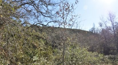 Terrain à Freixianda, Ribeira do Fárrio e Formigais de 5 100 m²