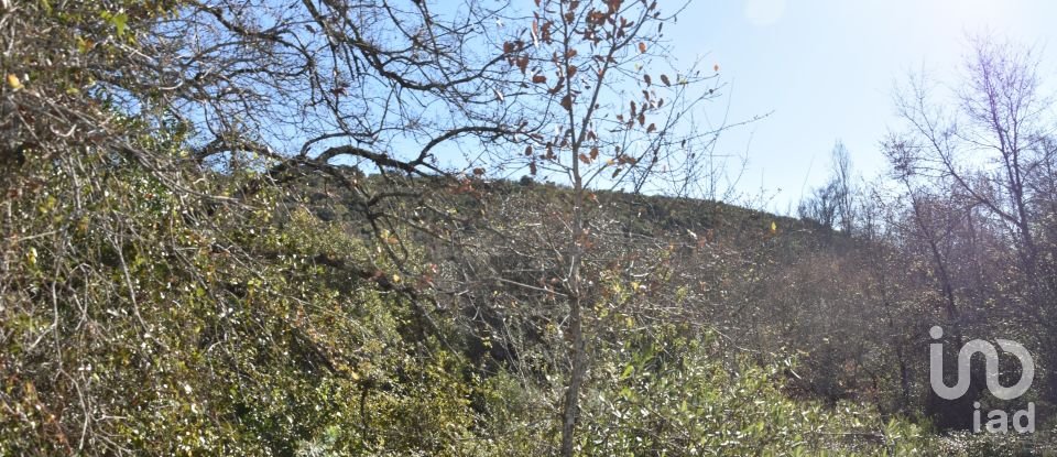 Terrain à Freixianda, Ribeira do Fárrio e Formigais de 5 100 m²