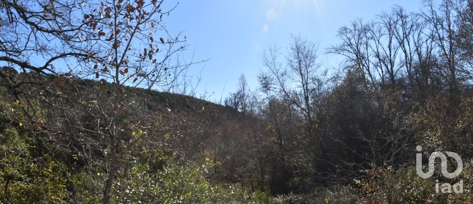 Terrain à Freixianda, Ribeira do Fárrio e Formigais de 5 100 m²