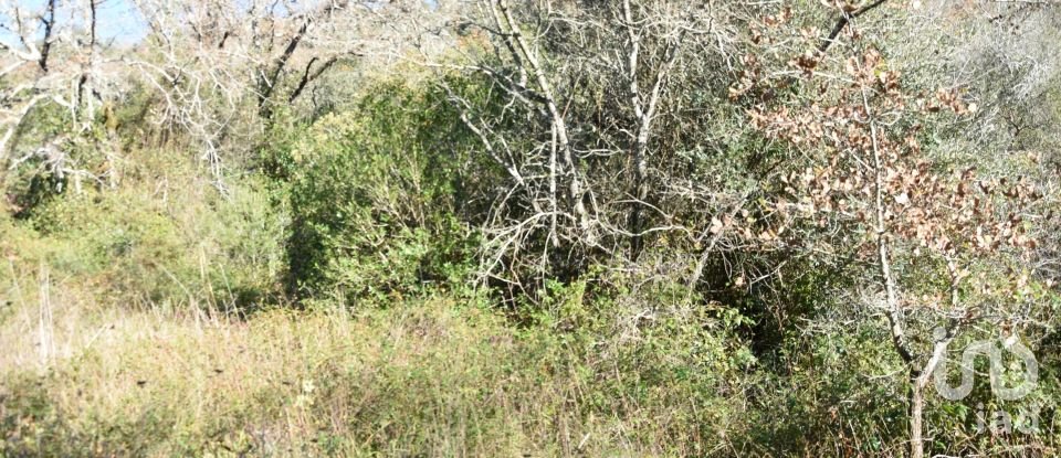 Terrain à Freixianda, Ribeira do Fárrio e Formigais de 5 100 m²