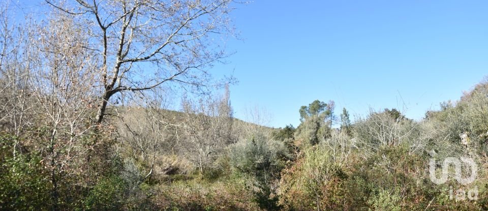 Terrain à Freixianda, Ribeira do Fárrio e Formigais de 5 100 m²