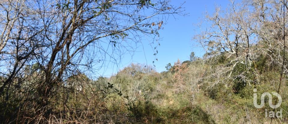 Terrain à Freixianda, Ribeira do Fárrio e Formigais de 5 100 m²