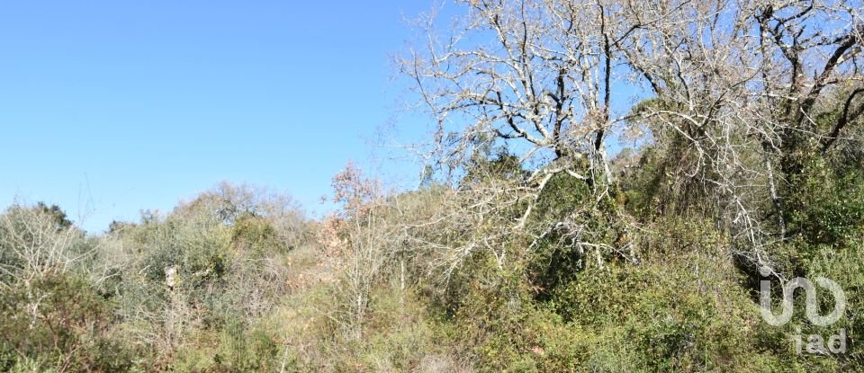 Terrain à Freixianda, Ribeira do Fárrio e Formigais de 5 100 m²