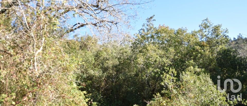 Terrain à Freixianda, Ribeira do Fárrio e Formigais de 5 100 m²