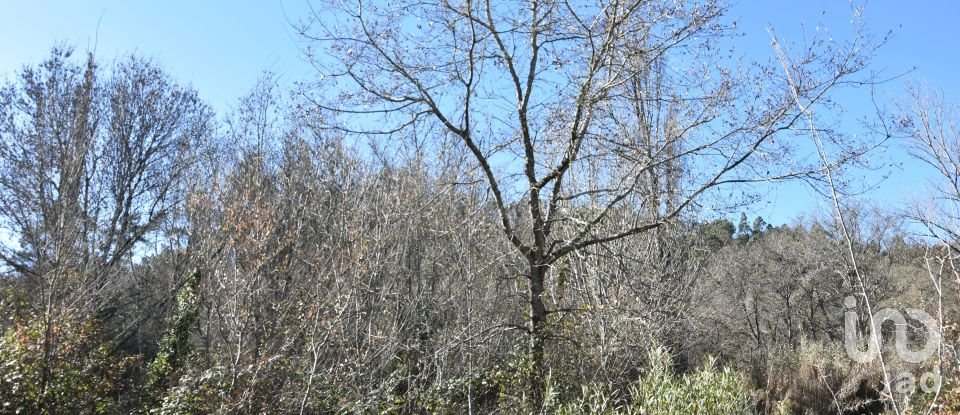 Terrain à Freixianda, Ribeira do Fárrio e Formigais de 5 100 m²