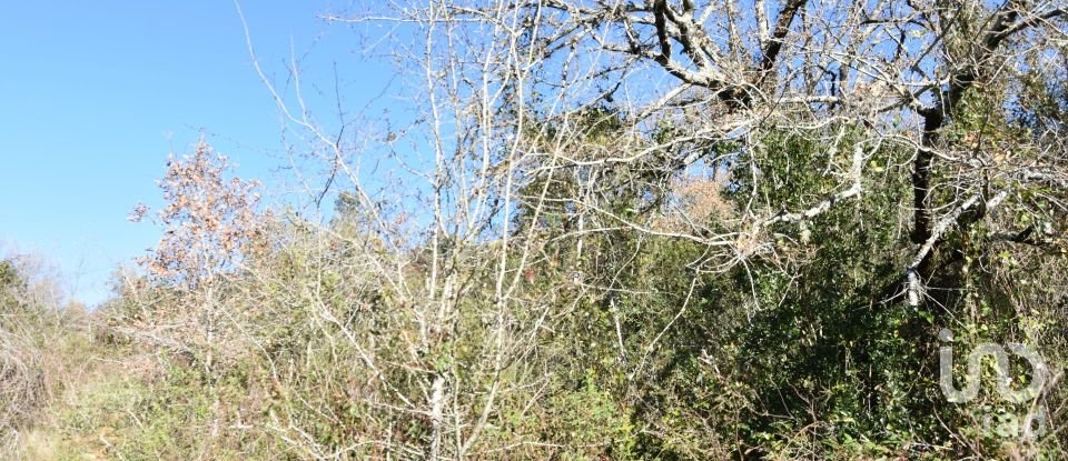 Terrain à Freixianda, Ribeira do Fárrio e Formigais de 5 100 m²