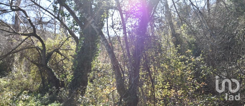 Terrain à Freixianda, Ribeira do Fárrio e Formigais de 5 100 m²