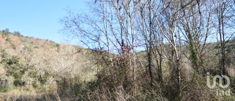 Terrain à Freixianda, Ribeira do Fárrio e Formigais de 5 100 m²