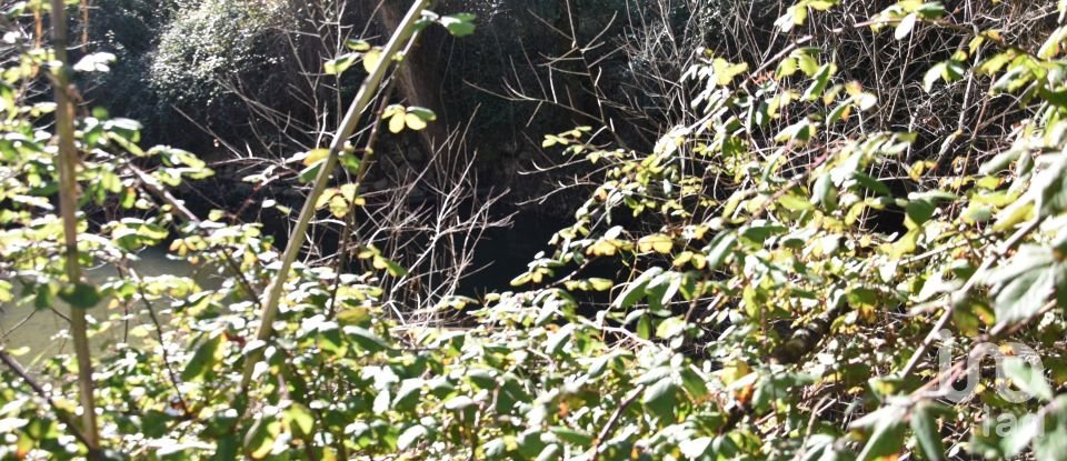 Terrain à Freixianda, Ribeira do Fárrio e Formigais de 5 100 m²