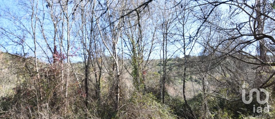 Terrain à Freixianda, Ribeira do Fárrio e Formigais de 5 100 m²