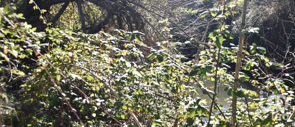 Terrain à Freixianda, Ribeira do Fárrio e Formigais de 5 100 m²
