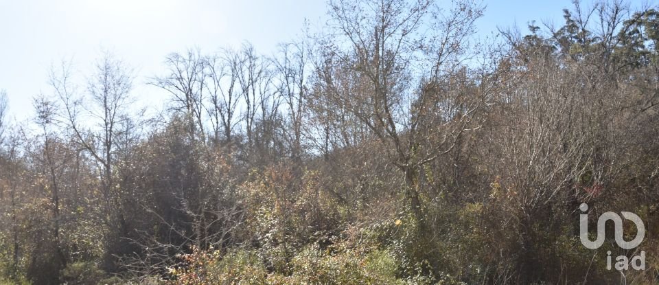 Terrain à Freixianda, Ribeira do Fárrio e Formigais de 5 100 m²