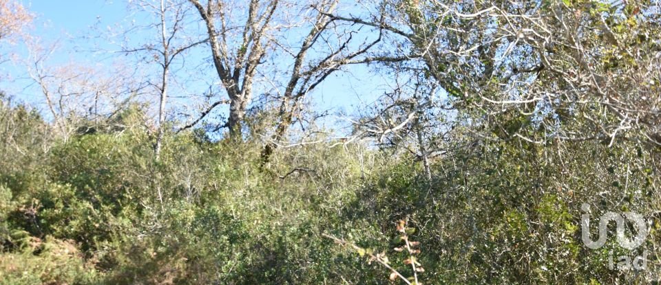 Terrain à Freixianda, Ribeira do Fárrio e Formigais de 5 100 m²
