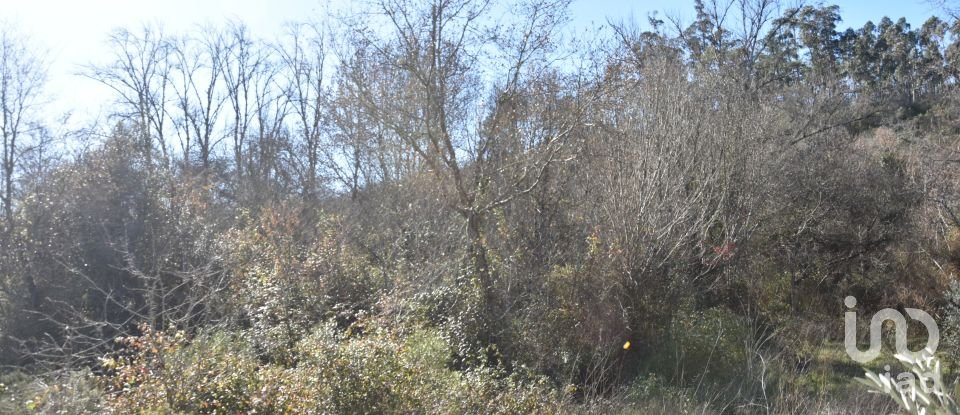 Terrain à Freixianda, Ribeira do Fárrio e Formigais de 5 100 m²