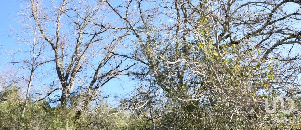 Terrain à Freixianda, Ribeira do Fárrio e Formigais de 5 100 m²