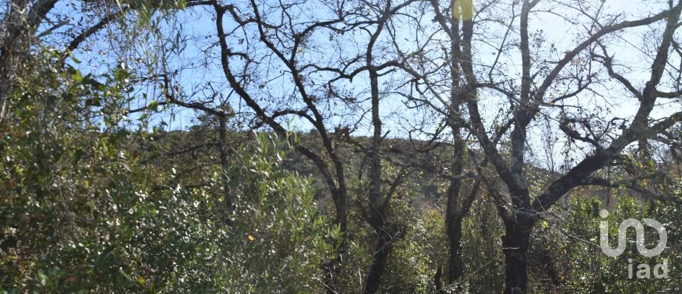 Terrain à Freixianda, Ribeira do Fárrio e Formigais de 5 100 m²