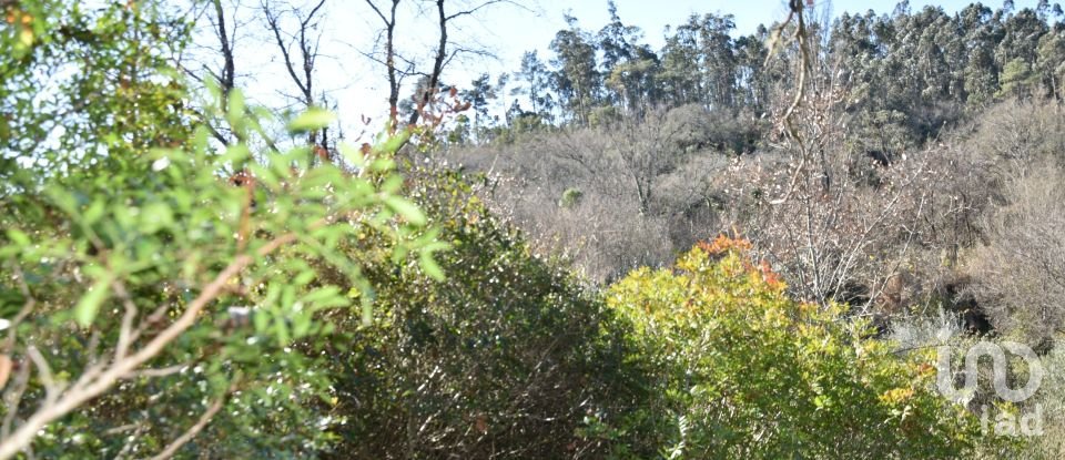 Terrain à Freixianda, Ribeira do Fárrio e Formigais de 5 100 m²