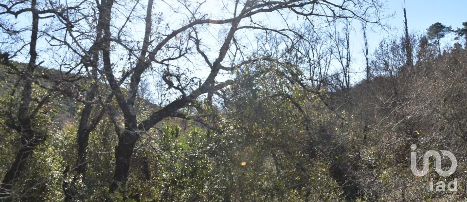 Terrain à Freixianda, Ribeira do Fárrio e Formigais de 5 100 m²