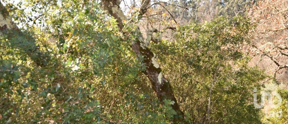 Terrain à Freixianda, Ribeira do Fárrio e Formigais de 5 100 m²