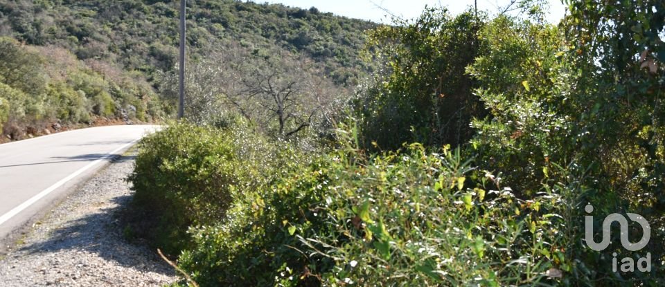 Terrain à Freixianda, Ribeira do Fárrio e Formigais de 5 100 m²